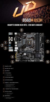 GIGABYTE B560M-DS3H DDR4 4xRAM NVMe m.2 1200p11 -p10 Anakart - 1